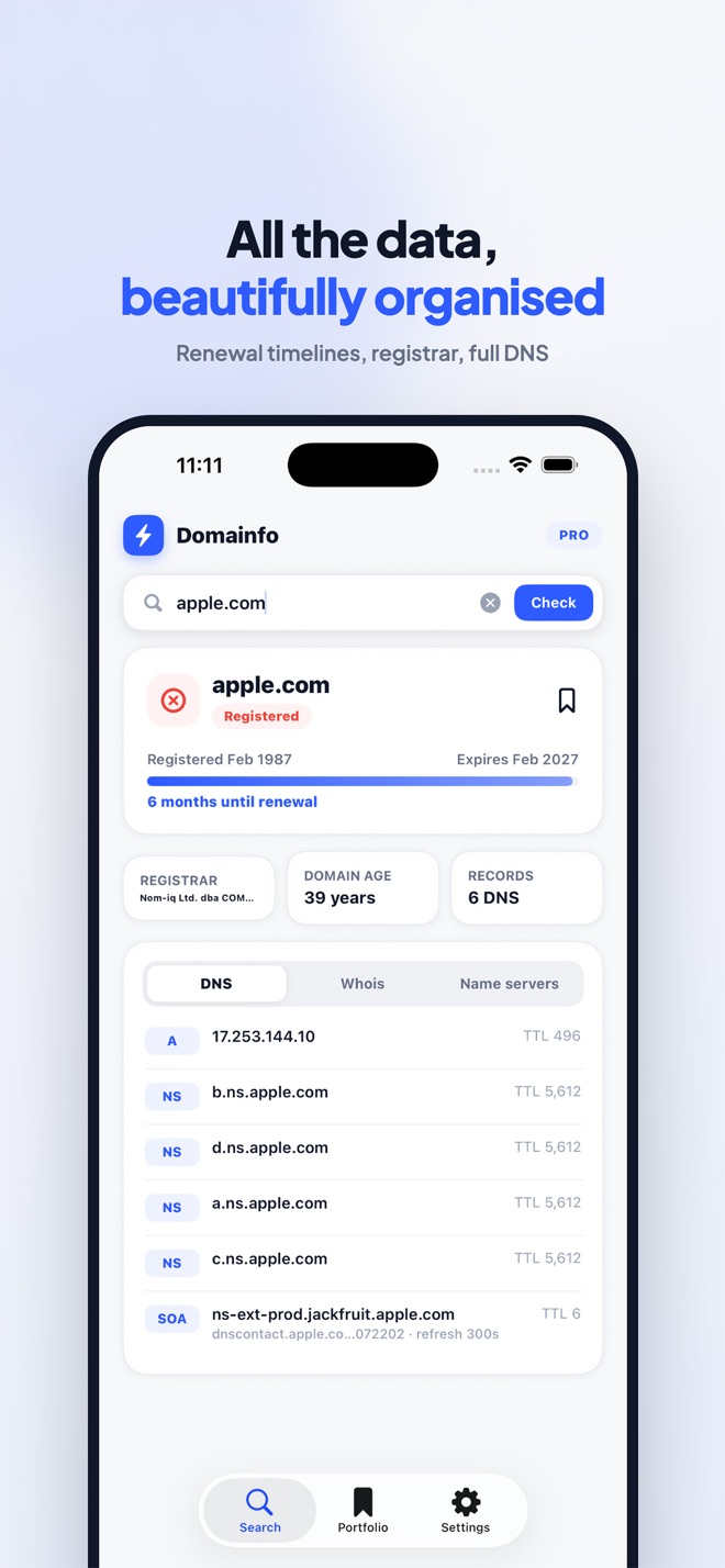 Domainfo screenshot 1