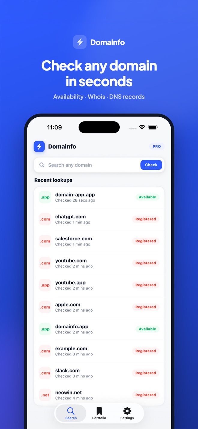 Domainfo screenshot 2
